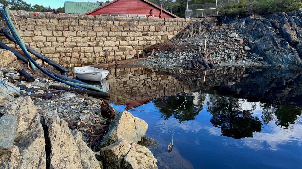 Lenkje til artikkel: Rehabilitering av demningen til Sagvatnet på Svanøy
