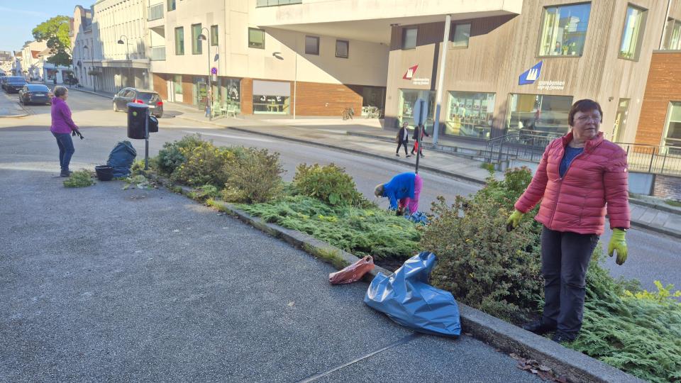 Lenkje til artikkel: Frivillige står på - med drahjelp frå kommunen