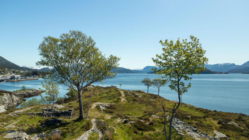 Lenkje til artikkel: Kinn er først i landet med naturpolitisk dokument - balansert natur og arealforvaltning