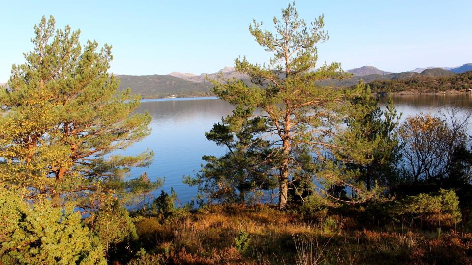Lenkje til artikkel: Frå kartlegging til handling - korleis vi tar ansvar for klima og natur